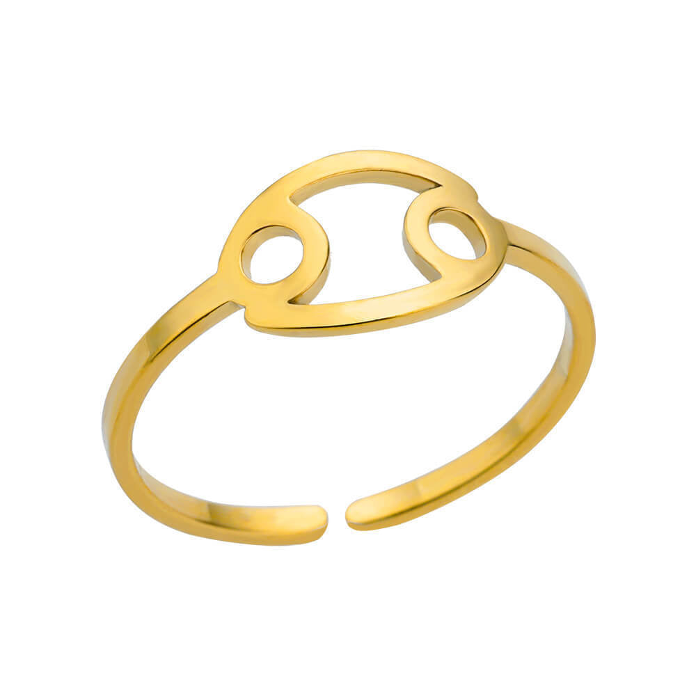 Stainless Steel Zodiac Constellation Ring for Men Women