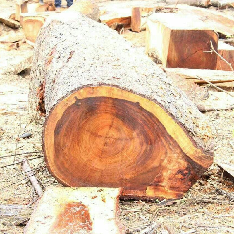 Acacia Wood Half Circle Ring With Stainless Steel Inlay Band Durable Fashion Jewelry For Men And Women Everyday Wear