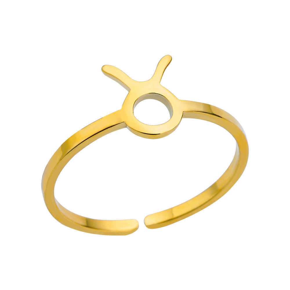 Stainless Steel Zodiac Constellation Ring for Men Women