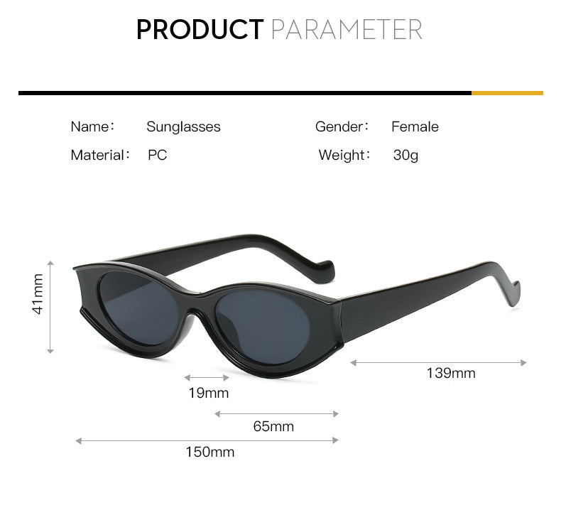 UV400 Womens Sunglasses Full Frame Oval Driving Outdoors Travel Plastic Frames Assorted Colors Non Polarized Light