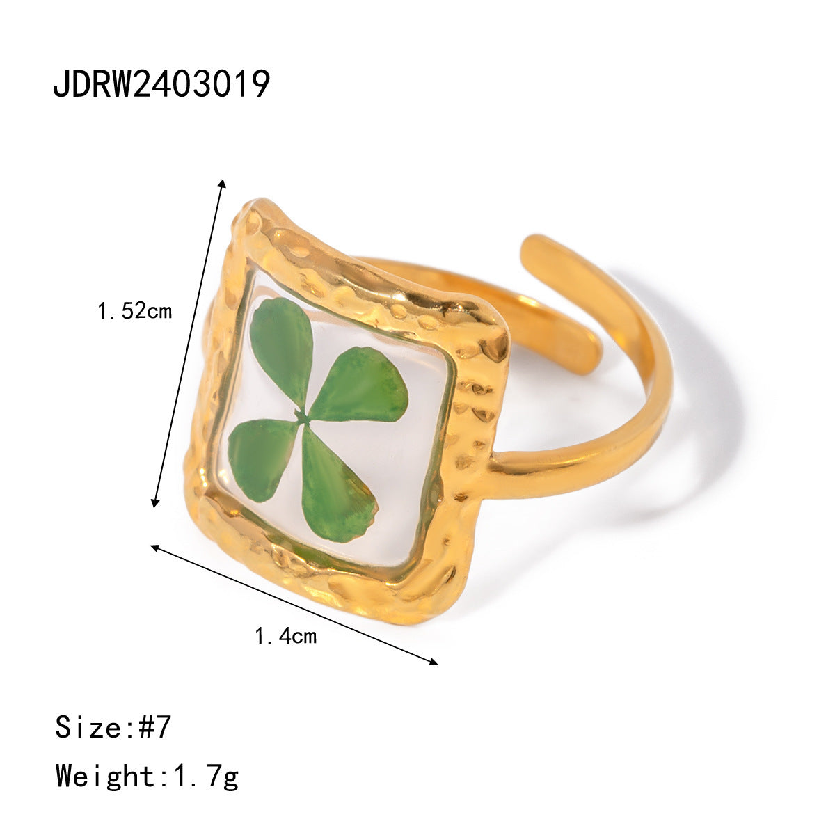 Stainless Steel Round Ring With Orange Preserved Flower Petals Electroplated Jewelry For Women For Daily Wear X