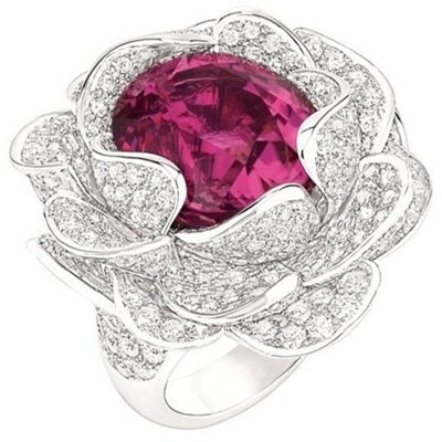 Womens Insect Ring Electroplated Alloy Zircon Gemstone Ring Elegant Fashion Design Insect Modeling Ring For Everyday