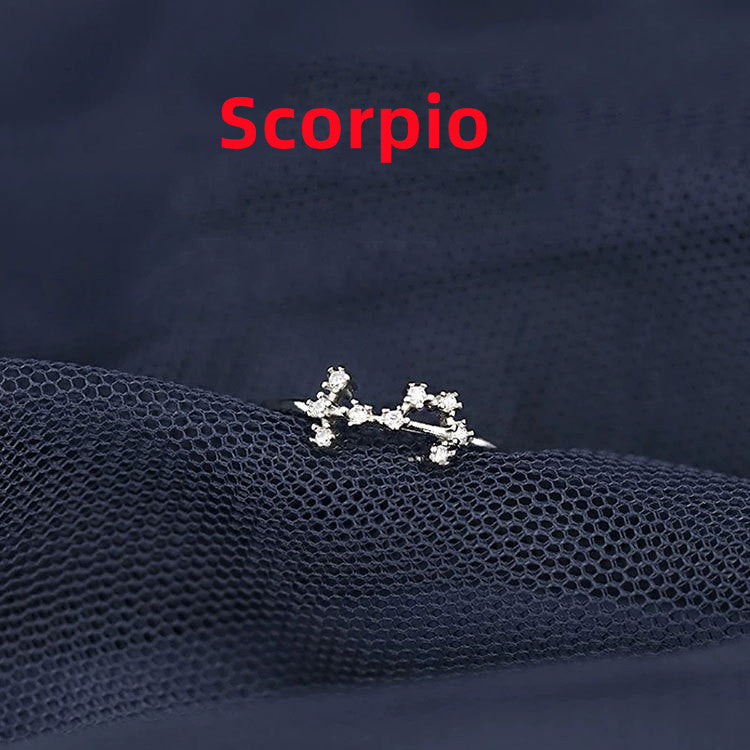 Silver Zodiac Sign Ring for Women and Girls Birthday Gift Electroplated Astrology Rings Aries Taurus Gemini Cancer Leo Virgo Libra Scorpio Sagittarius Pisces Aquarius Capricorn